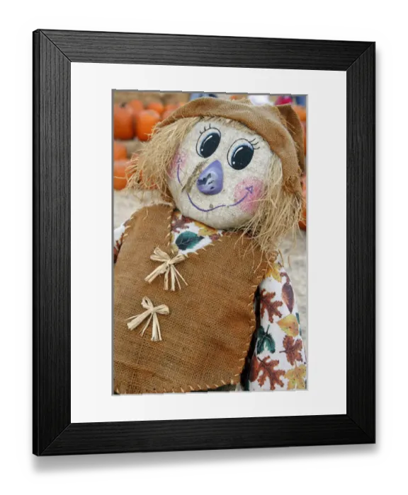 Framed Print : USA, California. Scarecrow at Pumpkin Patch Framed Print : USA, California. Scarecrow at Pumpkin Patch