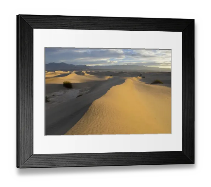 Framed Print : USA, California, Death Valley, Mesquite Flat Sand Dunes at sunrise Framed Print : USA, California, Death Valley, Mesquite Flat Sand Dunes at sunrise