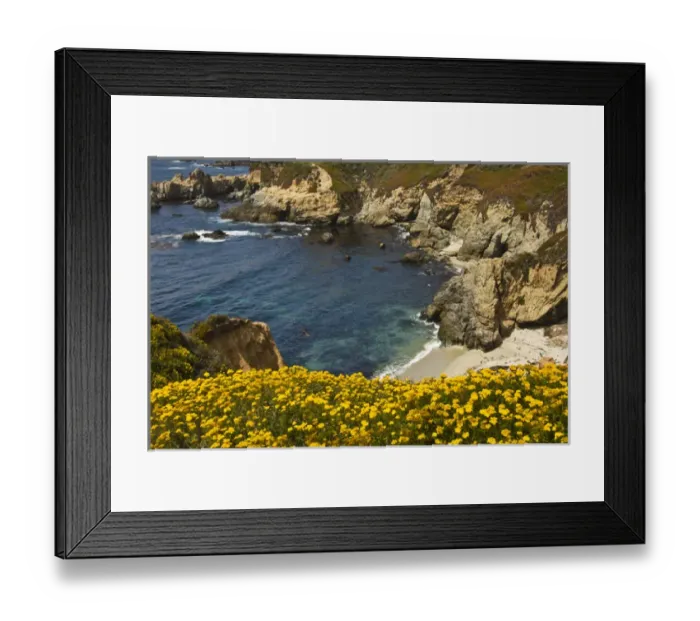 Framed Print : Beach and Cove; Garrapata State Park; California; USA Framed Print : Beach and Cove; Garrapata State Park; California; USA