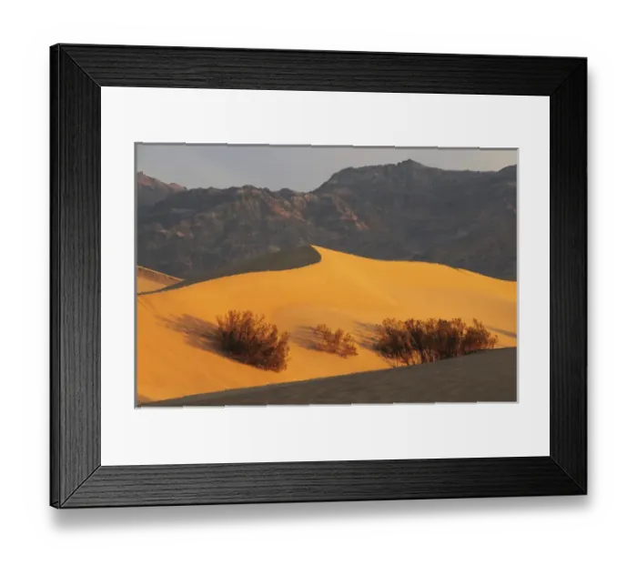 Framed Print : Early Morning at Mesquite Flat Sand Dunes; Death Valley National Park; Stovepipe Wells Framed Print : Early Morning at Mesquite Flat Sand Dunes; Death Valley National Park; Stovepipe Wells