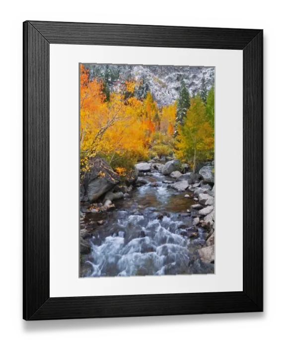 Framed Print : Fall color along Bishop Creek, Inyo National Forest, Sierra Nevada Mountains, California Framed Print : Fall color along Bishop Creek, Inyo National Forest, Sierra Nevada Mountains, California
