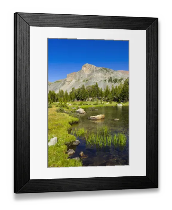 Framed Print : Alpine tarn in Dana Meadows under Mount Dana, Tuolumne Meadows, Yosemite National Park Framed Print : Alpine tarn in Dana Meadows under Mount Dana, Tuolumne Meadows, Yosemite National Park