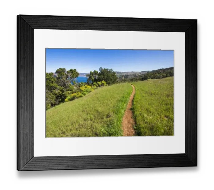 Framed Print : Pelican Bay trail, Santa Cruz Island, Channel Islands National Park, California USA Framed Print : Pelican Bay trail, Santa Cruz Island, Channel Islands National Park, California USA