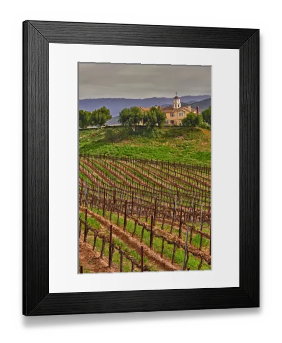Framed Print : USA, California, Temecula. Spring at Leoness Cellars in the Temecula wine country Framed Print : USA, California, Temecula. Spring at Leoness Cellars in the Temecula wine country