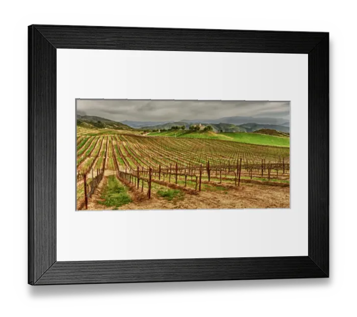 Framed Print : USA, California, Temecula. Spring at Leoness Cellars in the Temecula wine country Framed Print : USA, California, Temecula. Spring at Leoness Cellars in the Temecula wine country