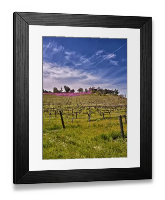 Framed Print : USA, Califronia, Temcula. Lumiere Winery in spring in Temecula Framed Print : USA, Califronia, Temcula. Lumiere Winery in spring in Temecula