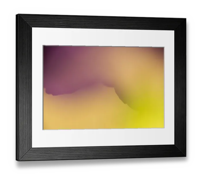 Framed Print : Close-up of flower petals form a colorful abstract