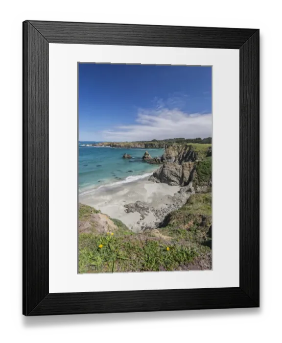 Framed Print : USA, CA, Mendocino County, Jug Handle State Natural Reserve, Jug Handle Cove