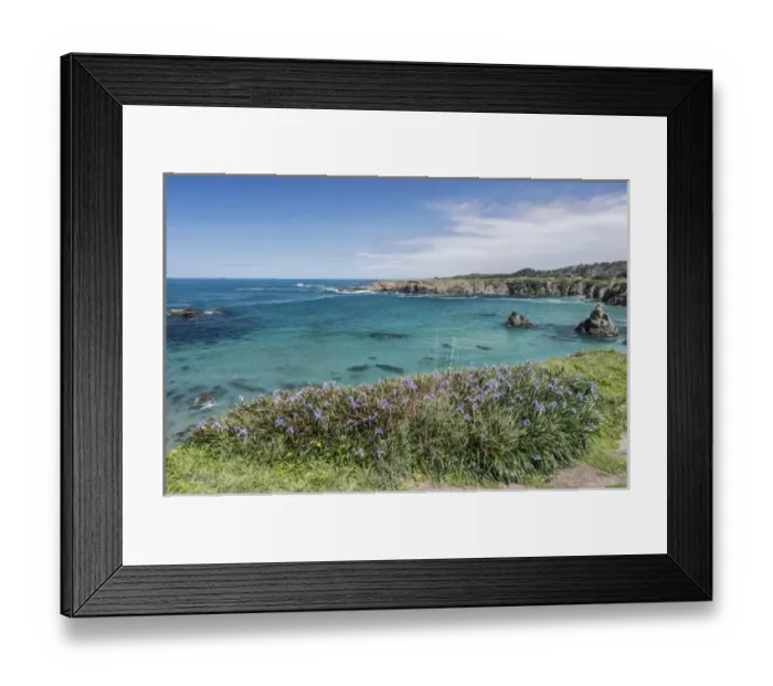 Framed Print : USA, CA, Mendocino County, Jug Handle State Natural Reserve, Wild Iris Blooming