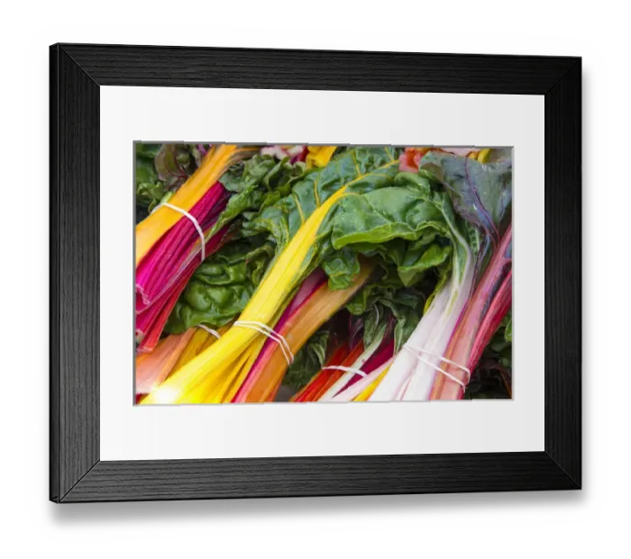 Framed Print : US, CA. Baywood / Los Osos Central California coast Farmers market chard Framed Print : US, CA. Baywood / Los Osos Central California coast Farmers market chard