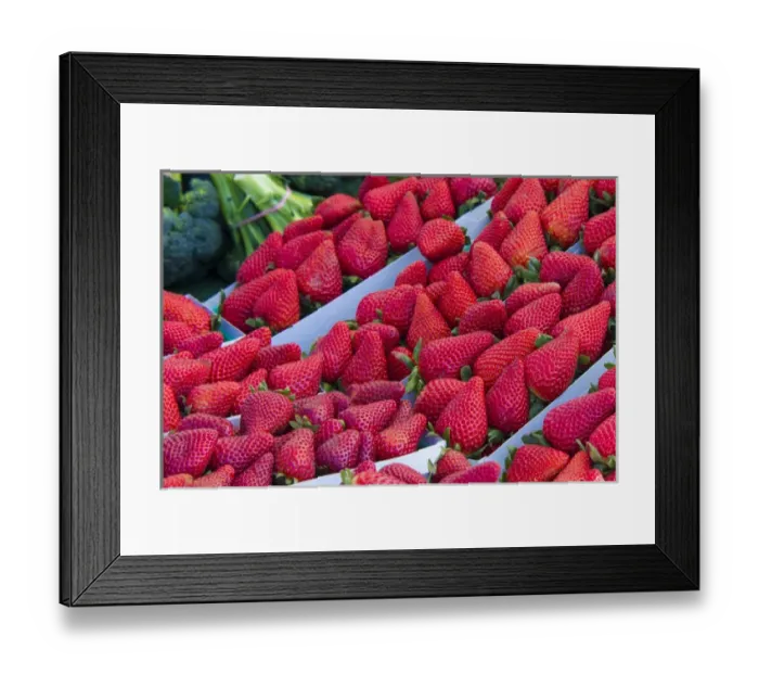 Framed Print : US, CA. Baywood / Los Osos Central California coast farmers market Framed Print : US, CA. Baywood / Los Osos Central California coast farmers market