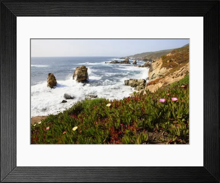 Framed Print : Breaking waves and flowers. Garrapata State Park. View towards North. Entrance #7 Framed Print : Breaking waves and flowers. Garrapata State Park. View towards North. Entrance #7