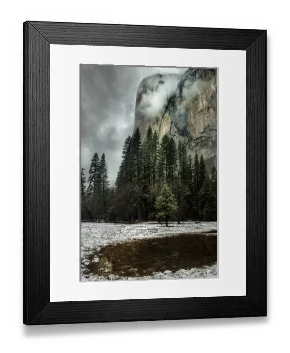 Framed Print : El Capitan seen from the valley meadows. Yosemite, California, US Framed Print : El Capitan seen from the valley meadows. Yosemite, California, US