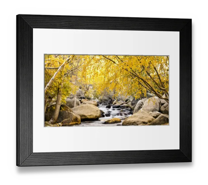 Framed Print : Fall foliage at creek, Eastern Sierra foothills, California, US Framed Print : Fall foliage at creek, Eastern Sierra foothills, California, US