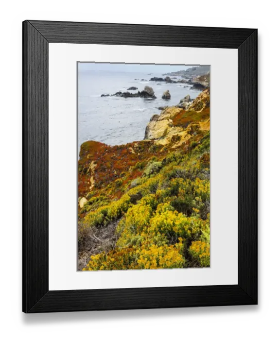 Framed Print : Flowering coastline. Garrapata State Park, Big Sur, California, US Framed Print : Flowering coastline. Garrapata State Park, Big Sur, California, US