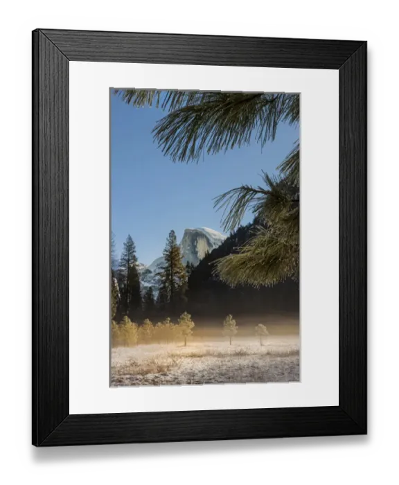 Framed Print : Half Dome from valley floor. Yosemite, California, US Framed Print : Half Dome from valley floor. Yosemite, California, US