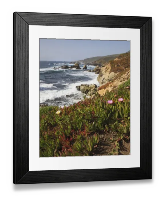 Framed Print : Rocky Coast with wild flowers. Garrapata State Park. View towards North. Entrance #7