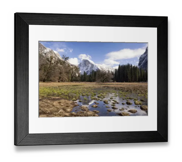 Framed Print : Half Dome with reflections seen from Cooks Meadow. Yosemite National Park. California