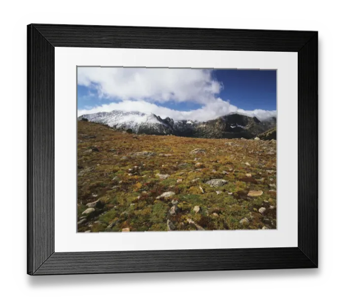 Framed Print : USA, Colorado, Rocky Mountains National Park, Alpine tundra in early autumn Framed Print : USA, Colorado, Rocky Mountains National Park, Alpine tundra in early autumn