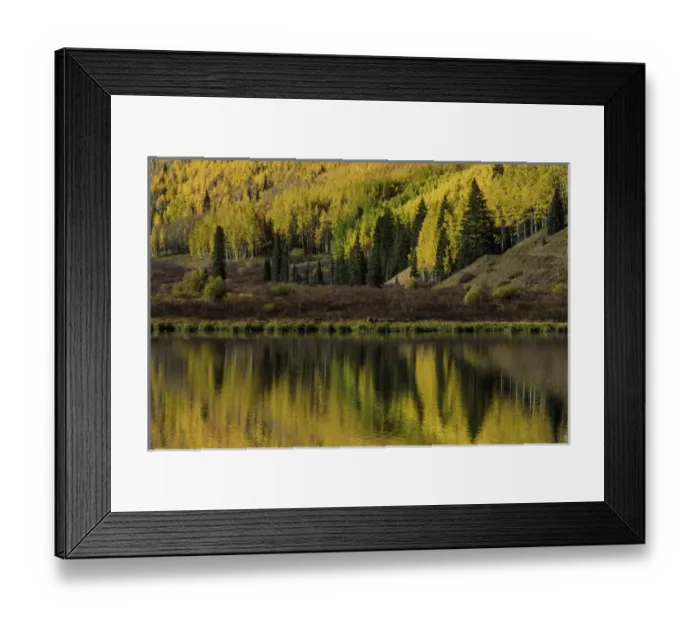 Framed Print : Fall aspen trees reflected on Crystal Lake at sunrise, near Ouray, Colorado Framed Print : Fall aspen trees reflected on Crystal Lake at sunrise, near Ouray, Colorado