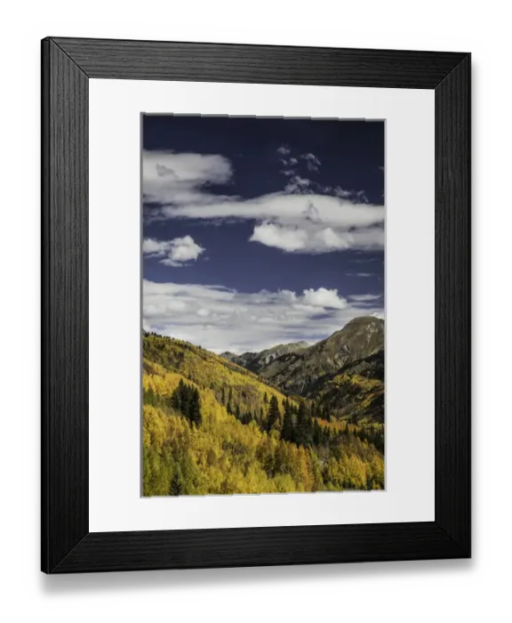 Framed Print : Mountain vista covered in autumn aspen trees, from Million Dollar Highway, near Ouray Framed Print : Mountain vista covered in autumn aspen trees, from Million Dollar Highway, near Ouray