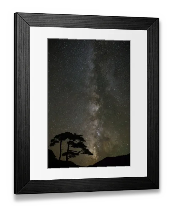 Framed Print : Milky Way and silhouetted tree, near Ouray, Colorado