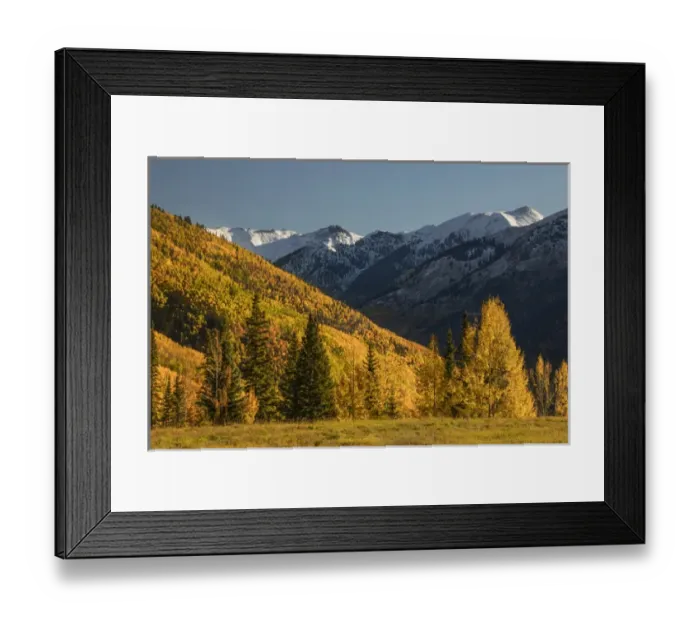 Framed Print : Autumn aspen trees on mountain slope from Million Dollar Highway near Crystal Lake
