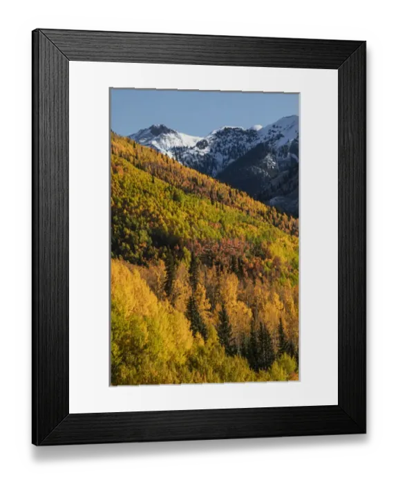 Framed Print : Autumn aspen trees on mountain slope from Million Dollar Highway near Crystal Lake Framed Print : Autumn aspen trees on mountain slope from Million Dollar Highway near Crystal Lake