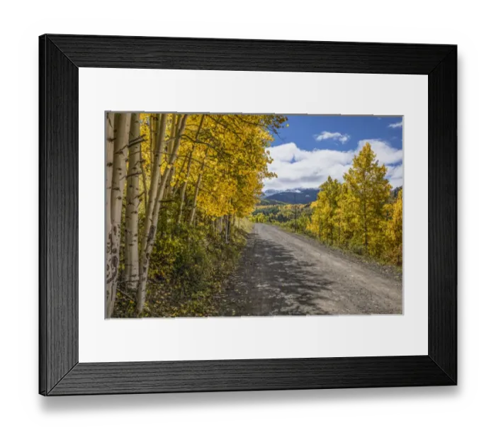 Framed Print : Rural forest service road and golden aspen trees in fall, Uncompahgre National Forest Framed Print : Rural forest service road and golden aspen trees in fall, Uncompahgre National Forest