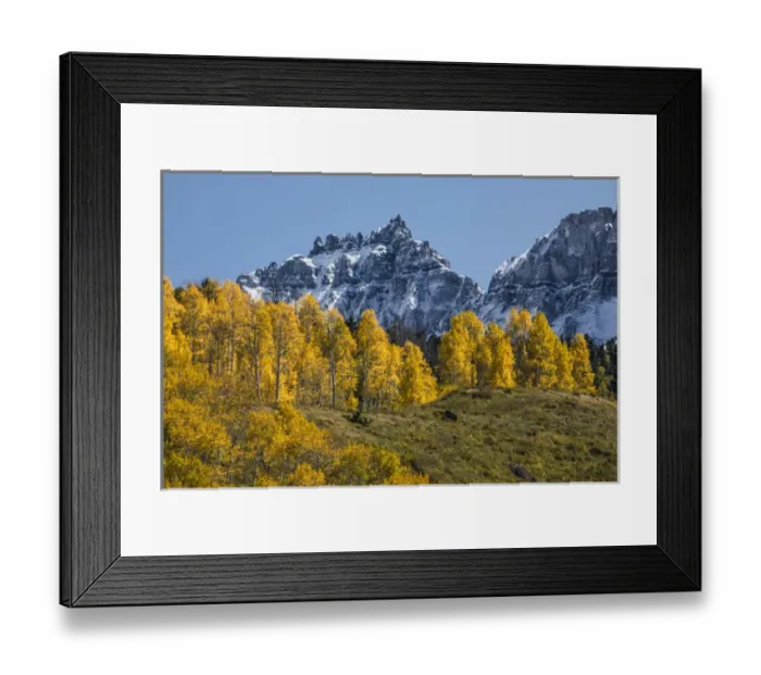Framed Print : Autumn aspen trees and Sneffels Range, Mount Sneffels Wilderness, Uncompahgre National Forest Framed Print : Autumn aspen trees and Sneffels Range, Mount Sneffels Wilderness, Uncompahgre National Forest