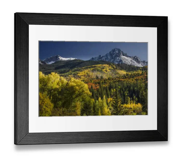 Framed Print : Autumn aspen trees and Sneffels Range, Mount Sneffels Wilderness, Uncompahgre National Forest Framed Print : Autumn aspen trees and Sneffels Range, Mount Sneffels Wilderness, Uncompahgre National Forest