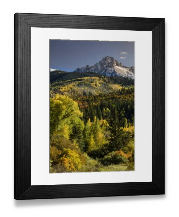 Framed Print : Autumn aspen trees and Sneffels Range, Mount Sneffels Wilderness, Uncompahgre National Forest