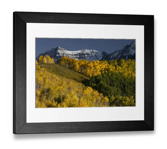 Framed Print : Autumn aspen trees and Sneffels Range, Mount Sneffels Wilderness, Uncompahgre National Forest