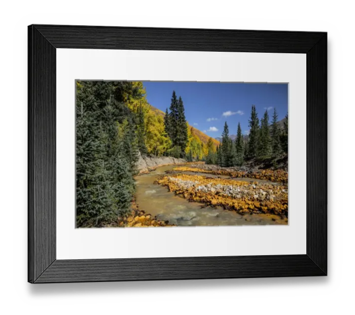 Framed Print : Rusted red rocks along Ironton Creek of golden autumn aspen trees and evergreens Framed Print : Rusted red rocks along Ironton Creek of golden autumn aspen trees and evergreens