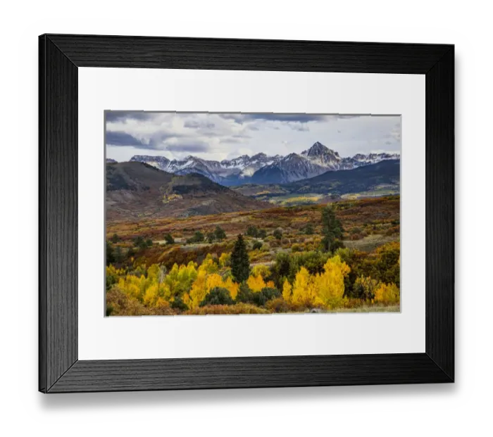 Framed Print : Autumn aspen trees and Sneffels Range, Mount Sneffels Wilderness, Uncompahgre National Forest