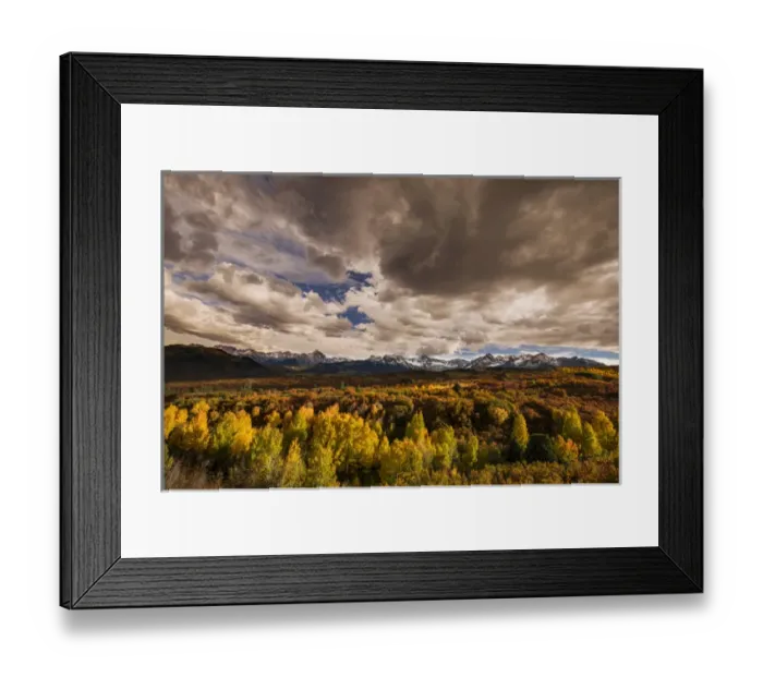 Framed Print : Autumn aspen trees and Sneffels Range, Mount Sneffels Wilderness, Uncompahgre National Forest