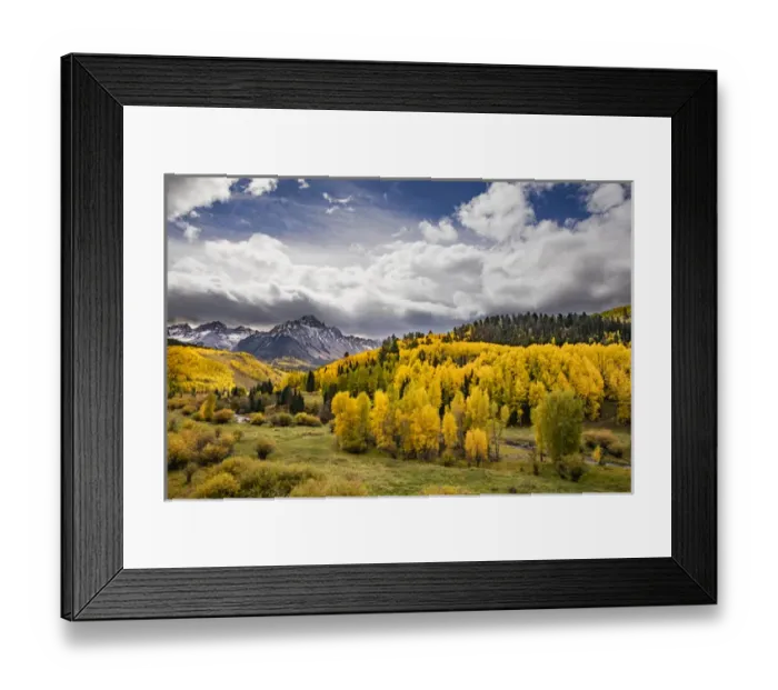 Framed Print : Autumn aspen trees and Sneffels Range, Mount Sneffels Wilderness, Uncompahgre National Forest