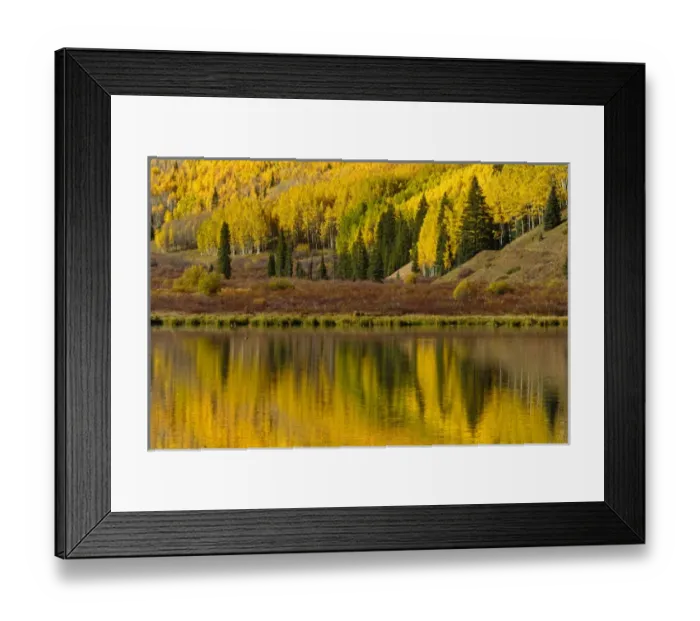Framed Print : Fall colors reflected on Crystal Lake at sunrise, near Ouray, Colorado Framed Print : Fall colors reflected on Crystal Lake at sunrise, near Ouray, Colorado