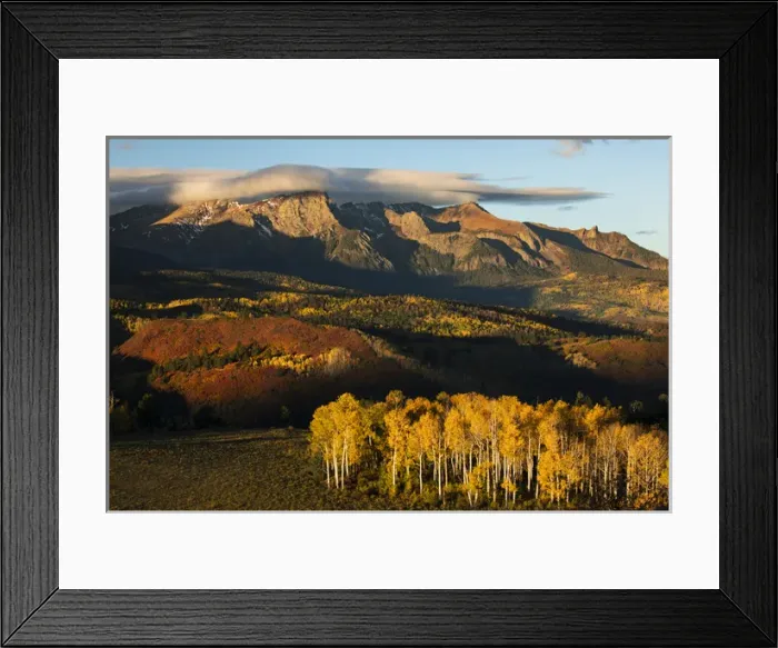 Framed Print : Autumn aspen trees and Sneffels Range at first light, Mount Sneffels Wilderness Framed Print : Autumn aspen trees and Sneffels Range at first light, Mount Sneffels Wilderness