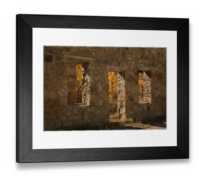 Framed Print : USA, Colorado, Central City. Aspen trees inside abandoned stone building. Credit as Framed Print : USA, Colorado, Central City. Aspen trees inside abandoned stone building. Credit as