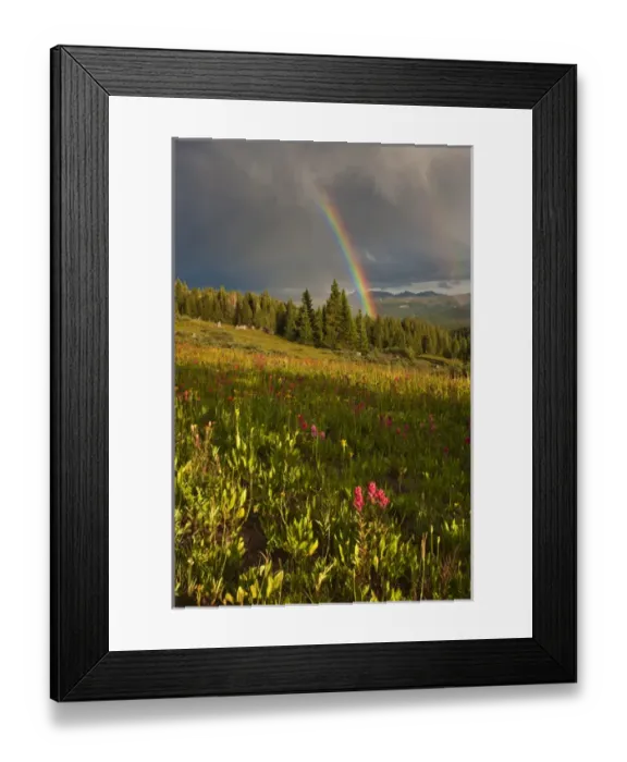 Framed Print : USA, Colorado, Shrine Pass. A sunset rainbow over a wildflower-filled meadow. Credit as Framed Print : USA, Colorado, Shrine Pass. A sunset rainbow over a wildflower-filled meadow. Credit as