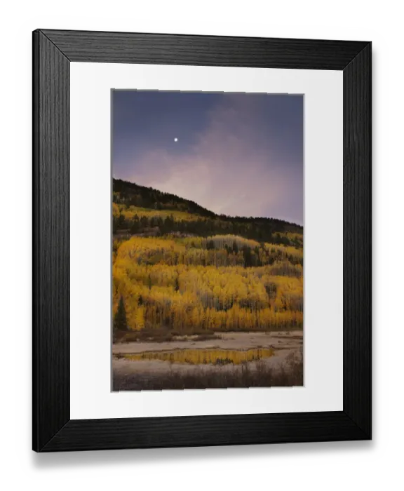 Framed Print : USA, Colorado, San Juan Mountains. Autumn-colored trees reflect in mountain pond at sunrise Framed Print : USA, Colorado, San Juan Mountains. Autumn-colored trees reflect in mountain pond at sunrise