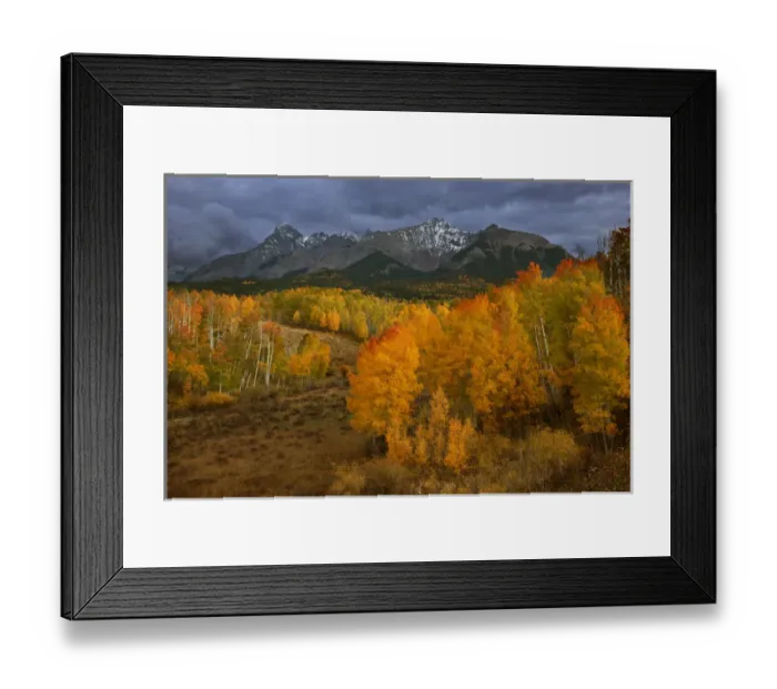 Framed Print : USA, Colorado, Sneffels Range. Dark clouds foretell an autumn storm over fall-covered aspen groves Framed Print : USA, Colorado, Sneffels Range. Dark clouds foretell an autumn storm over fall-covered aspen groves