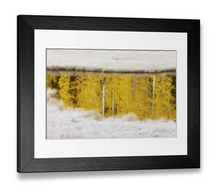 Framed Print : USA, Colorado, San Juan Mountains. Autumn sunrise reflection of aspen trees in pond Framed Print : USA, Colorado, San Juan Mountains. Autumn sunrise reflection of aspen trees in pond