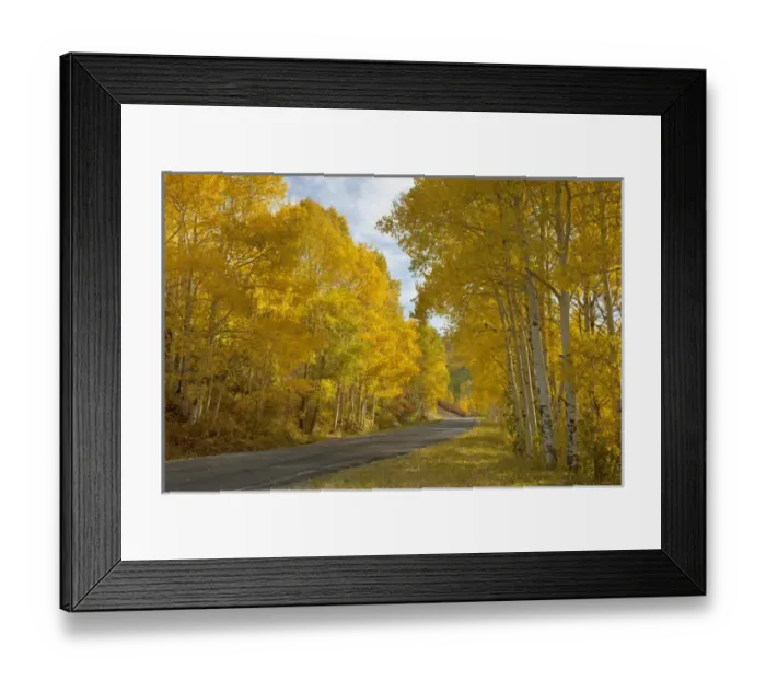 Framed Print : USA, Colorado, Black Canyon of the Gunnison National Park. A designated Scenic Byway