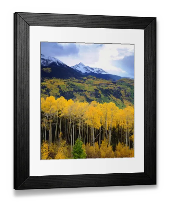 Framed Print : USA; Colorado; Sunset over Mt Wilson with the fall colors of aspen trees Framed Print : USA; Colorado; Sunset over Mt Wilson with the fall colors of aspen trees