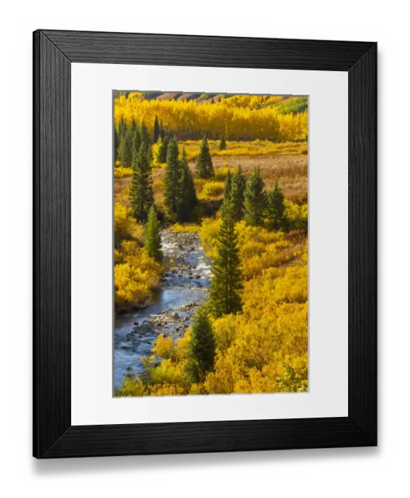 Framed Print : USA, Colorado, Gunnison National Forest. Autumn color and the East River. Credit as Framed Print : USA, Colorado, Gunnison National Forest. Autumn color and the East River. Credit as
