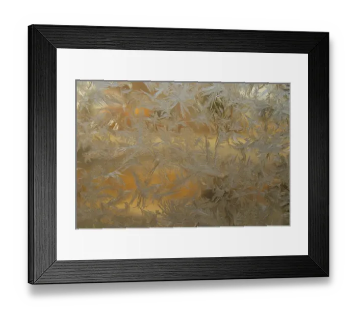 Framed Print : USA, Colorado. Frost on window pane. Credit as: Cathy & Gordon Illg / Jaynes Gallery Framed Print : USA, Colorado. Frost on window pane. Credit as: Cathy & Gordon Illg / Jaynes Gallery