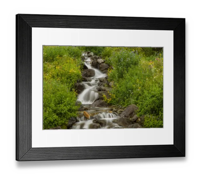 Framed Print : USA, Colorado, San Juan Mountains. Wildflowers next to stream