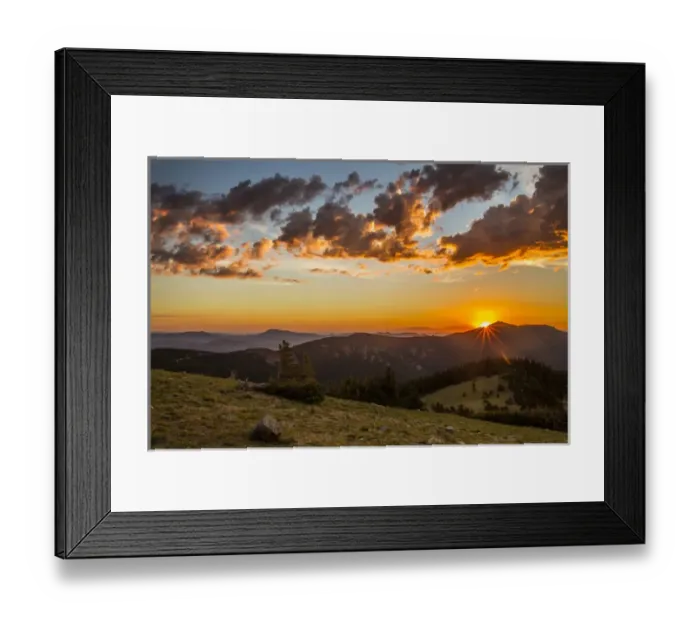 Framed Print : USA, Colorado, Mt. Evans. Bristlecone pines and clouds at sunrise
